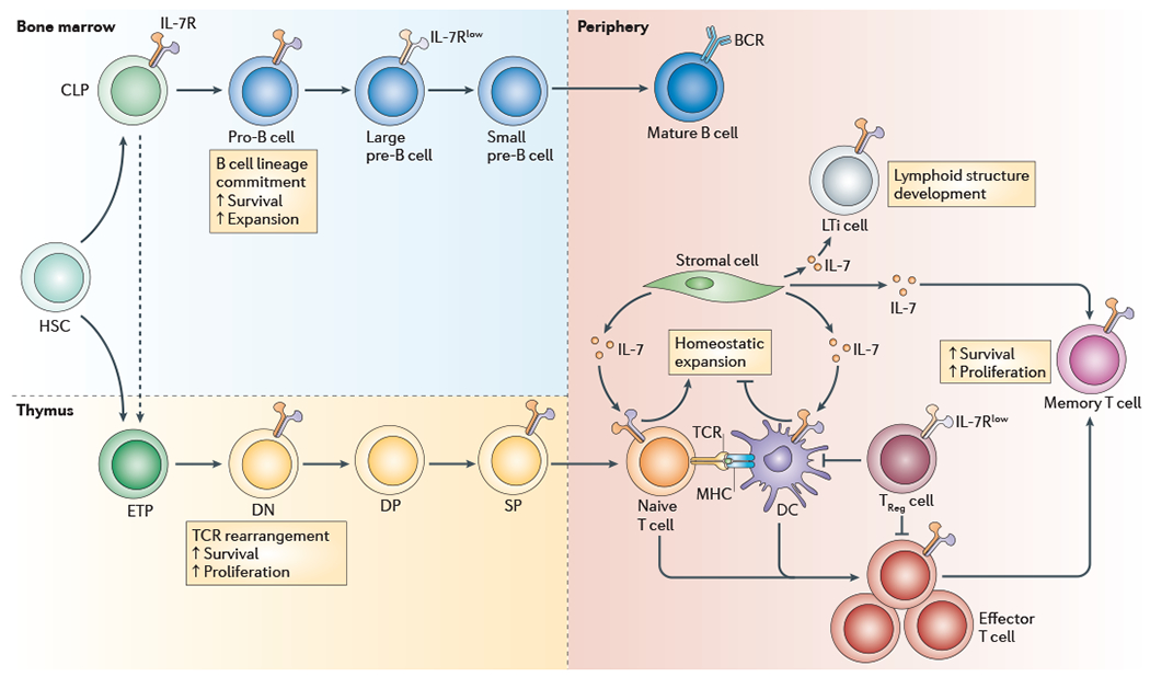 Figure 2 |