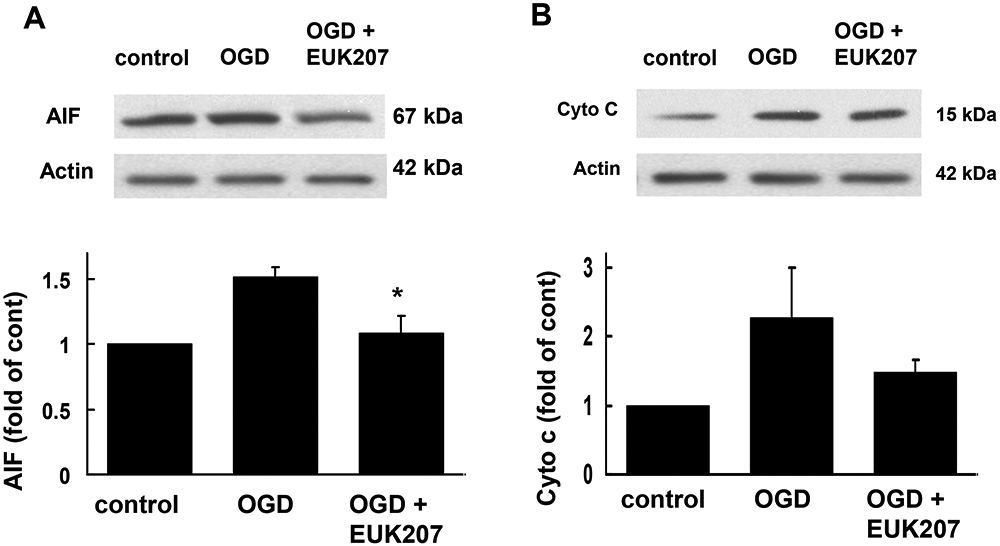 Figure 7: