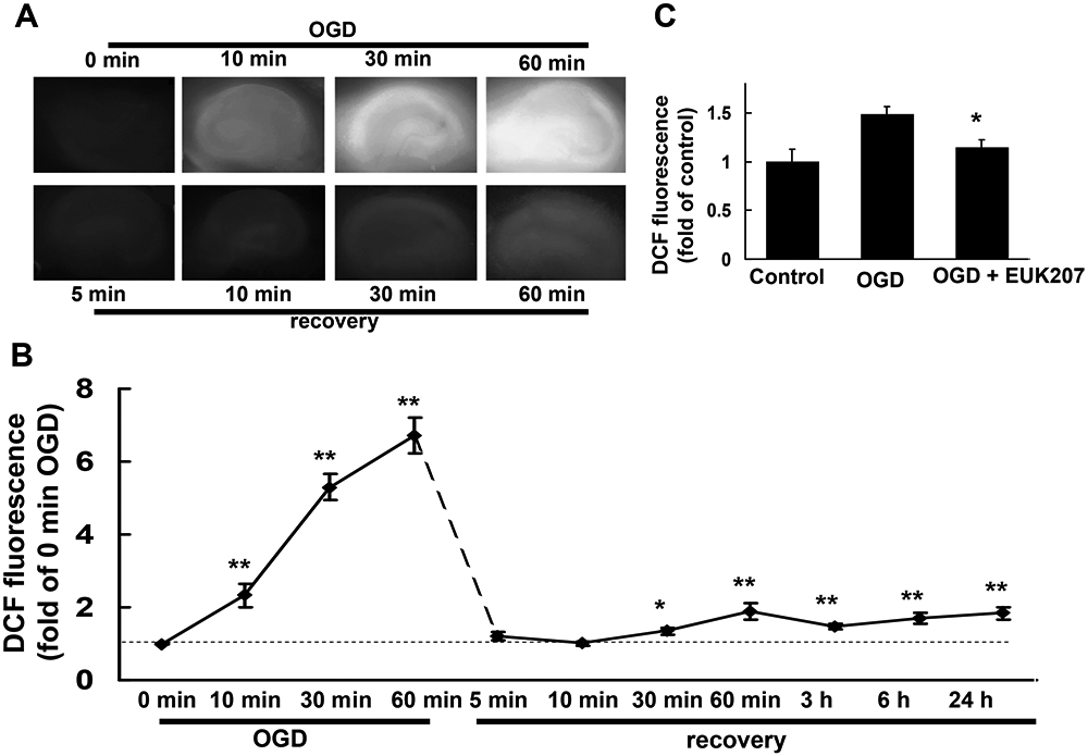 Figure 5: