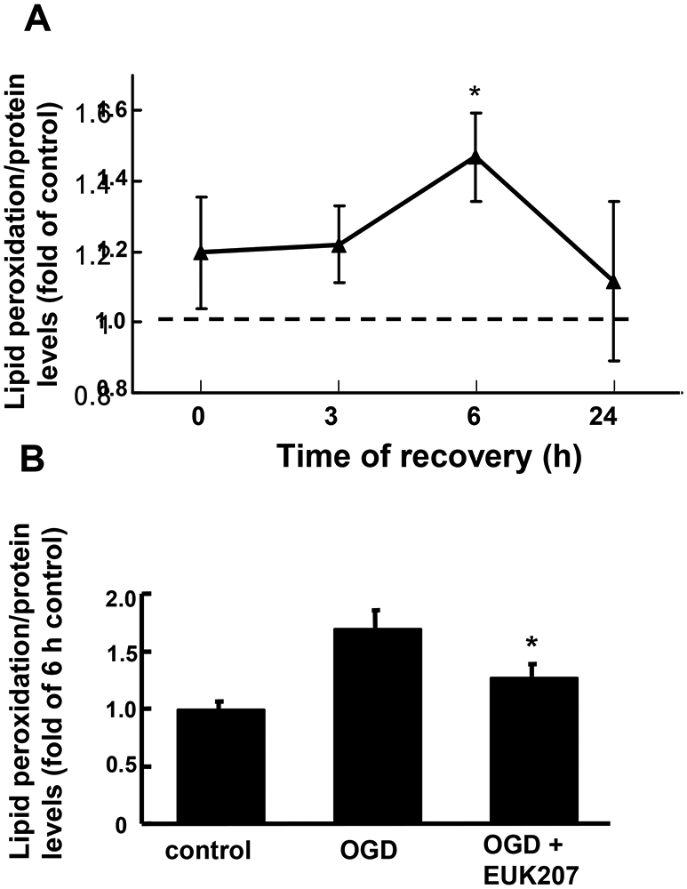 Figure 6: