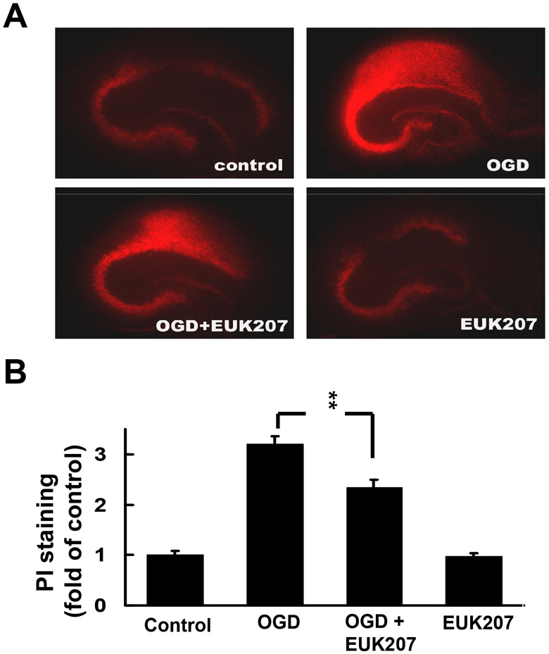 Figure 4: