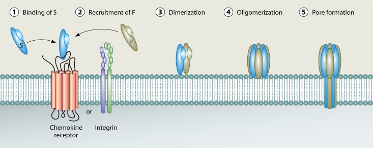 FIG 1