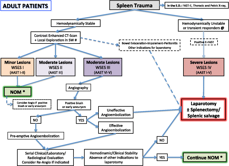 Splenic trauma wses classification and guidelines for adult and