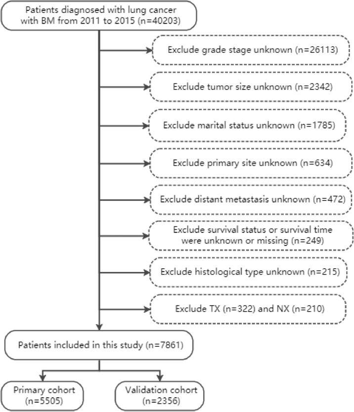 Figure 1