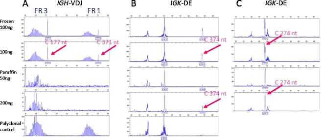 Fig. 3