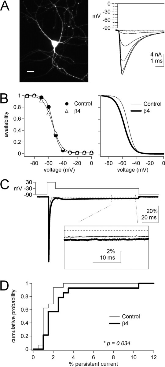 Figure 7.