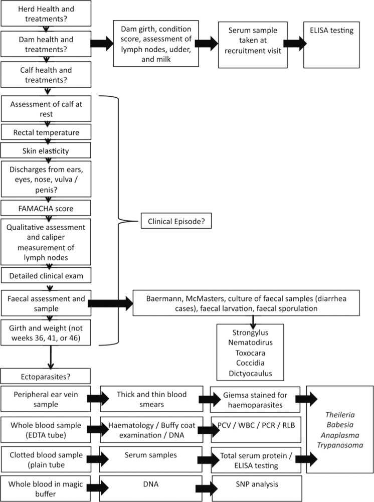 Fig. 3