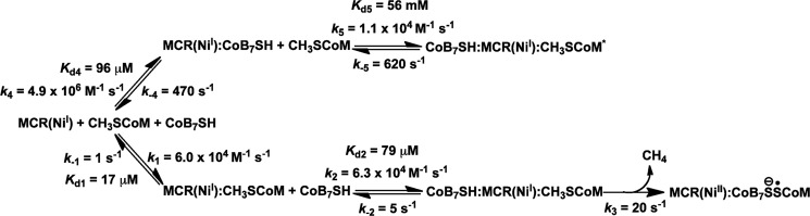 SCHEME 2.