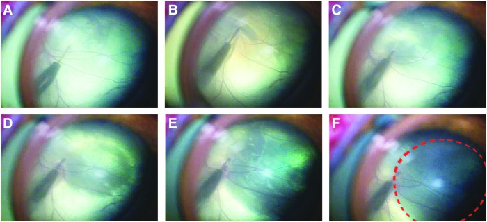 Figure 2.