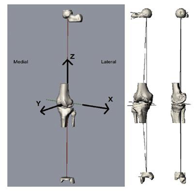 Fig. 5