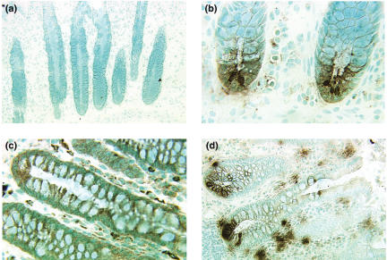 Fig 5