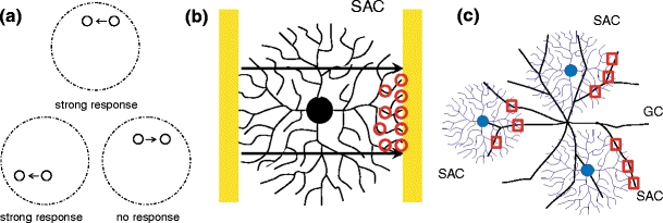 Fig. 1