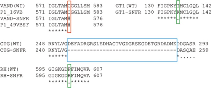 FIG 2