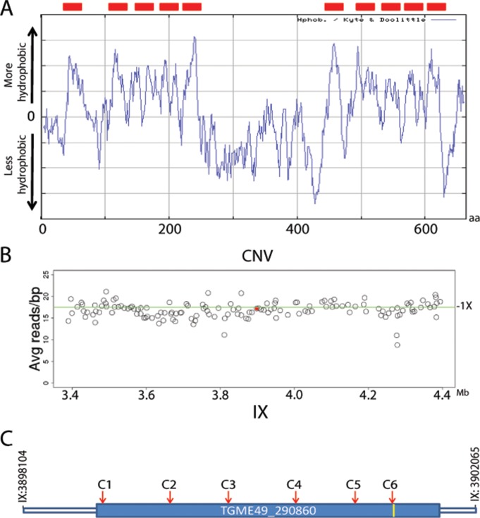 FIG 3