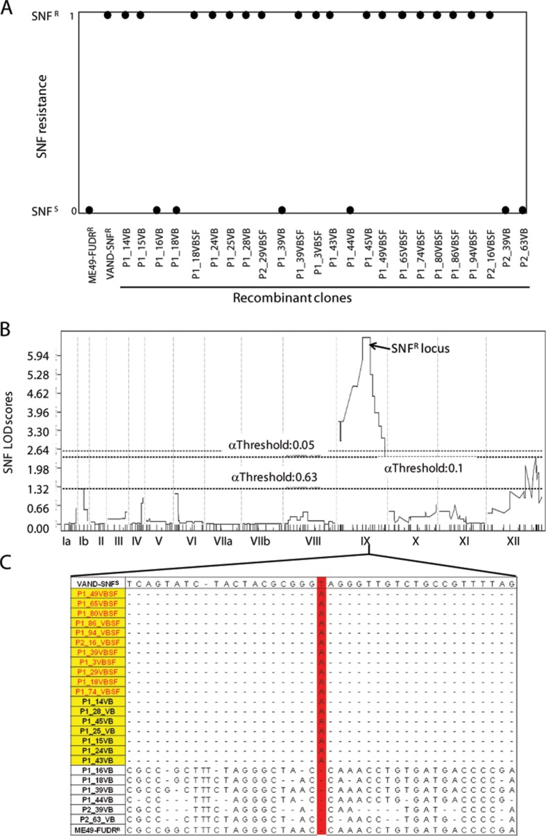 FIG 1