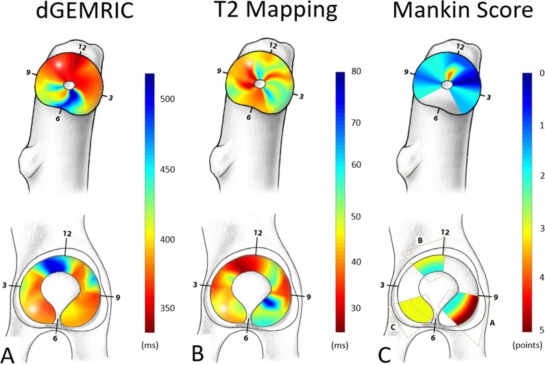 Fig. 7 A-C