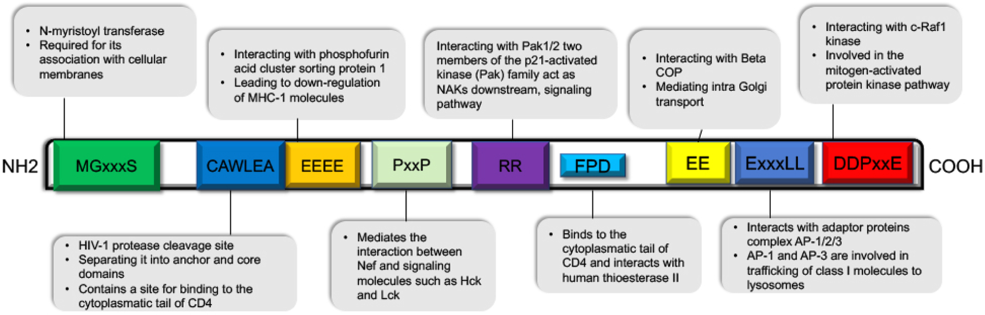 Figure 1: