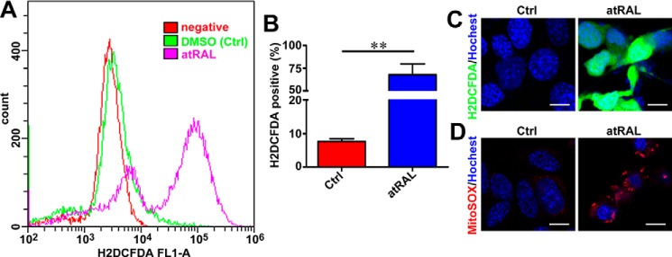 Figure 5.