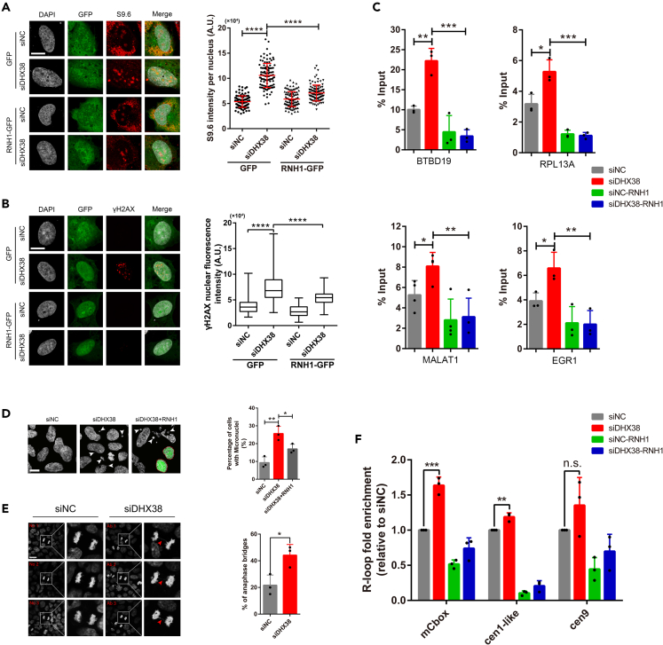 Figure 4