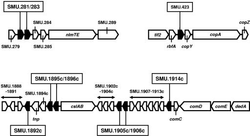 FIG. 2.