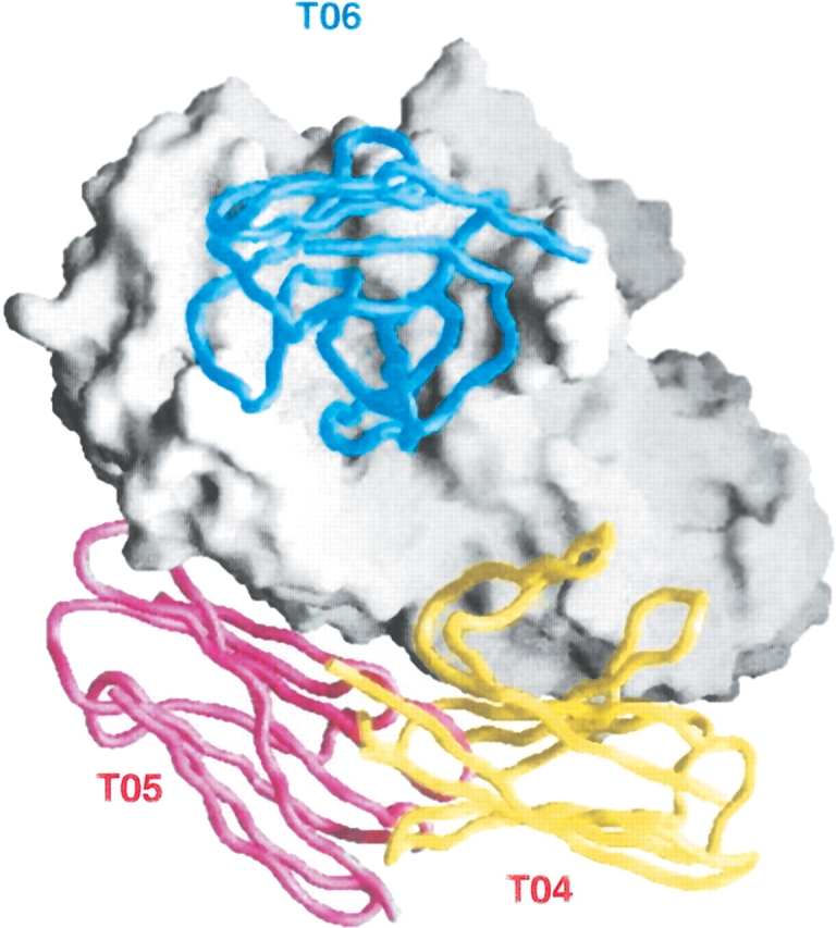 Figure 3.