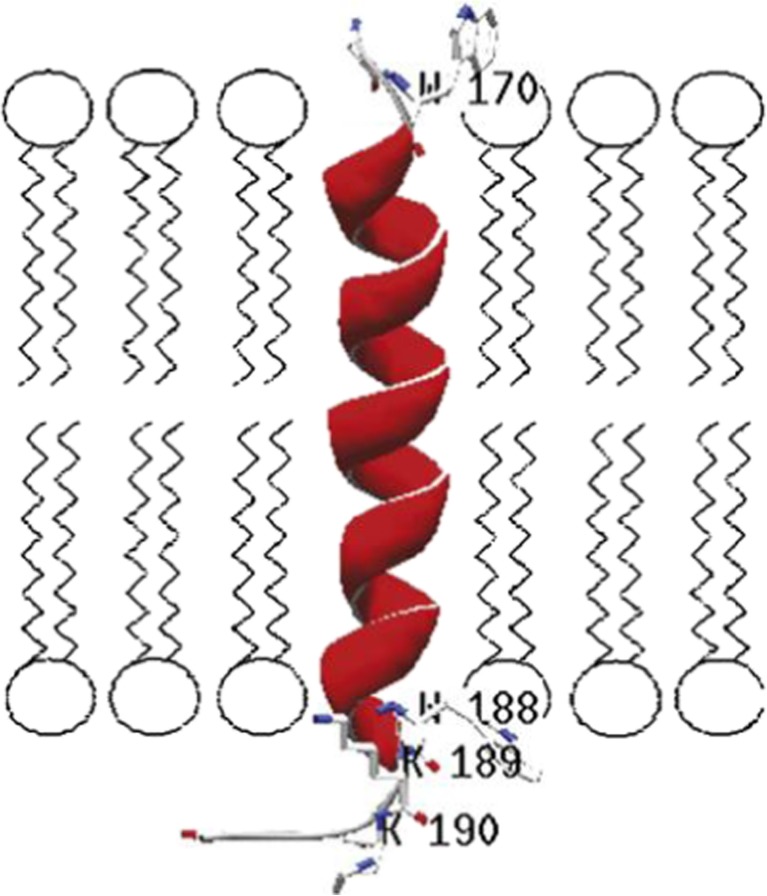 Fig. 8