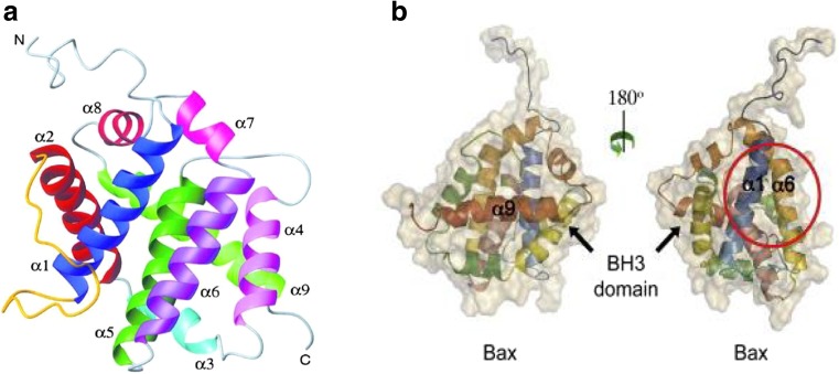 Fig. 3