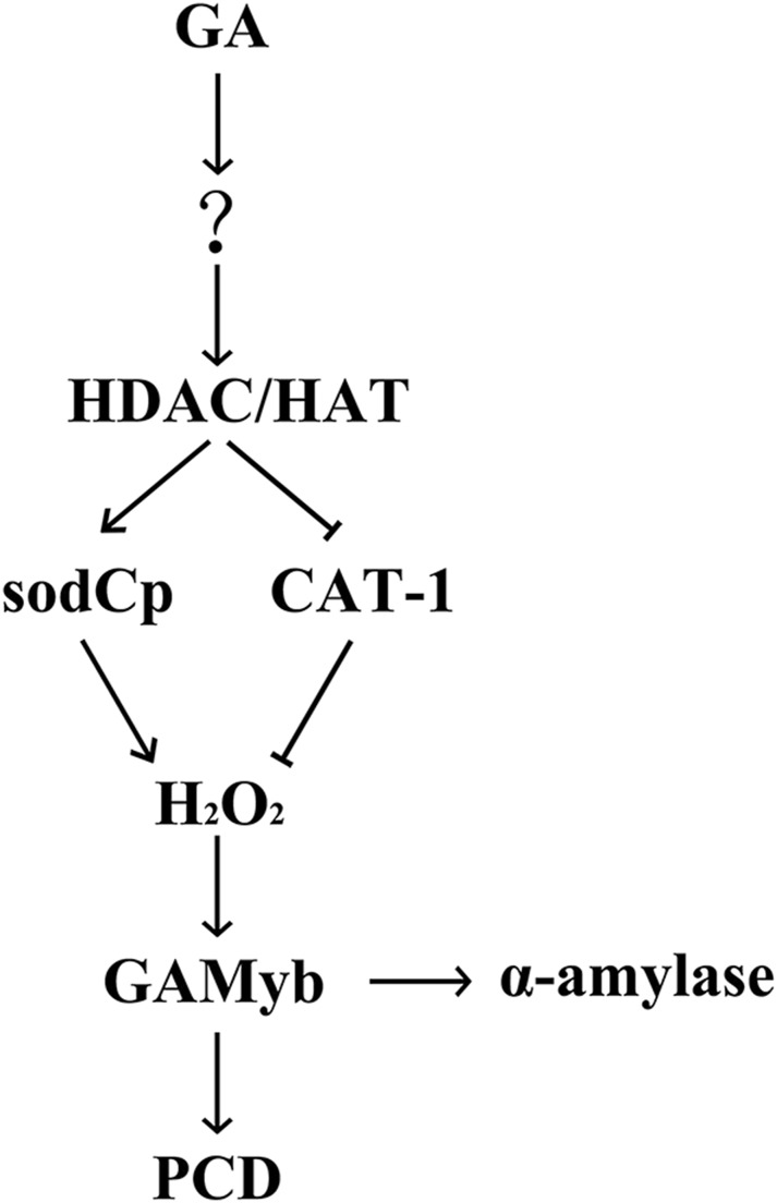 Figure 10.