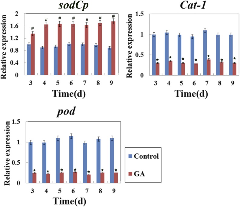 Figure 7.