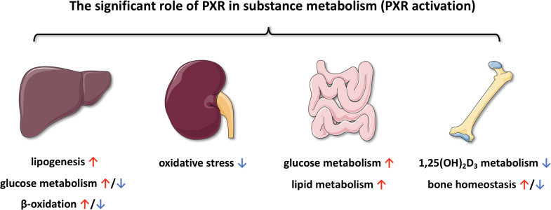 Figure 7