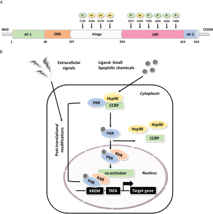 Figure 2