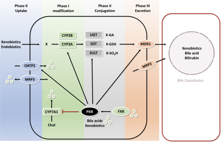 Figure 6