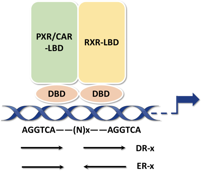 Figure 3