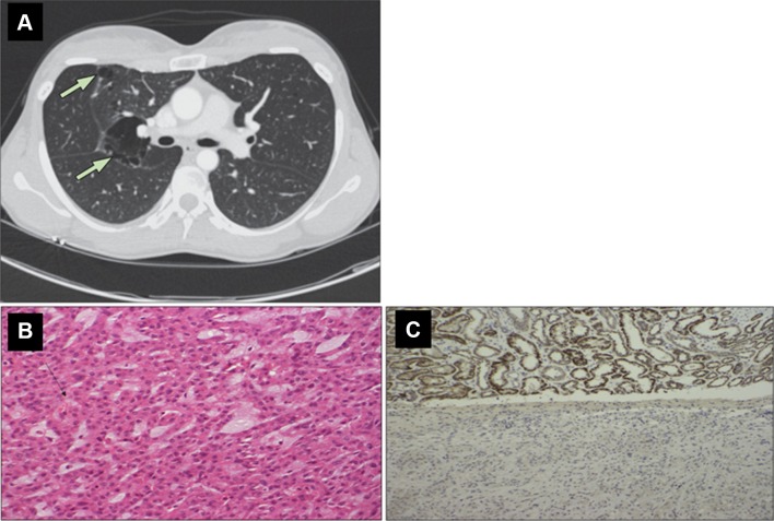 Fig. 1