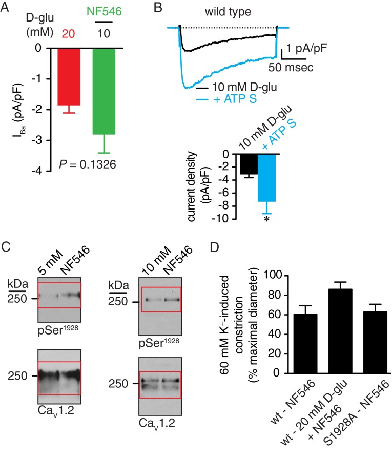 Figure 7—figure supplement 1.