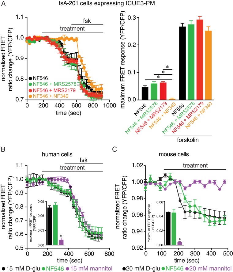 Figure 5—figure supplement 1.