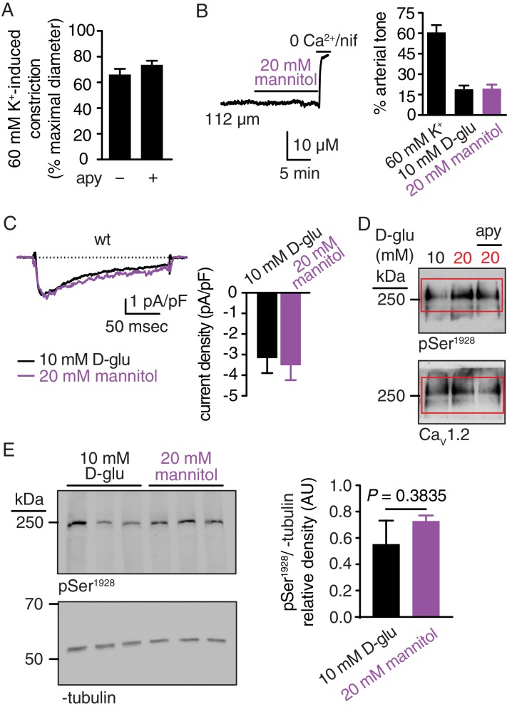 Figure 1—figure supplement 1.