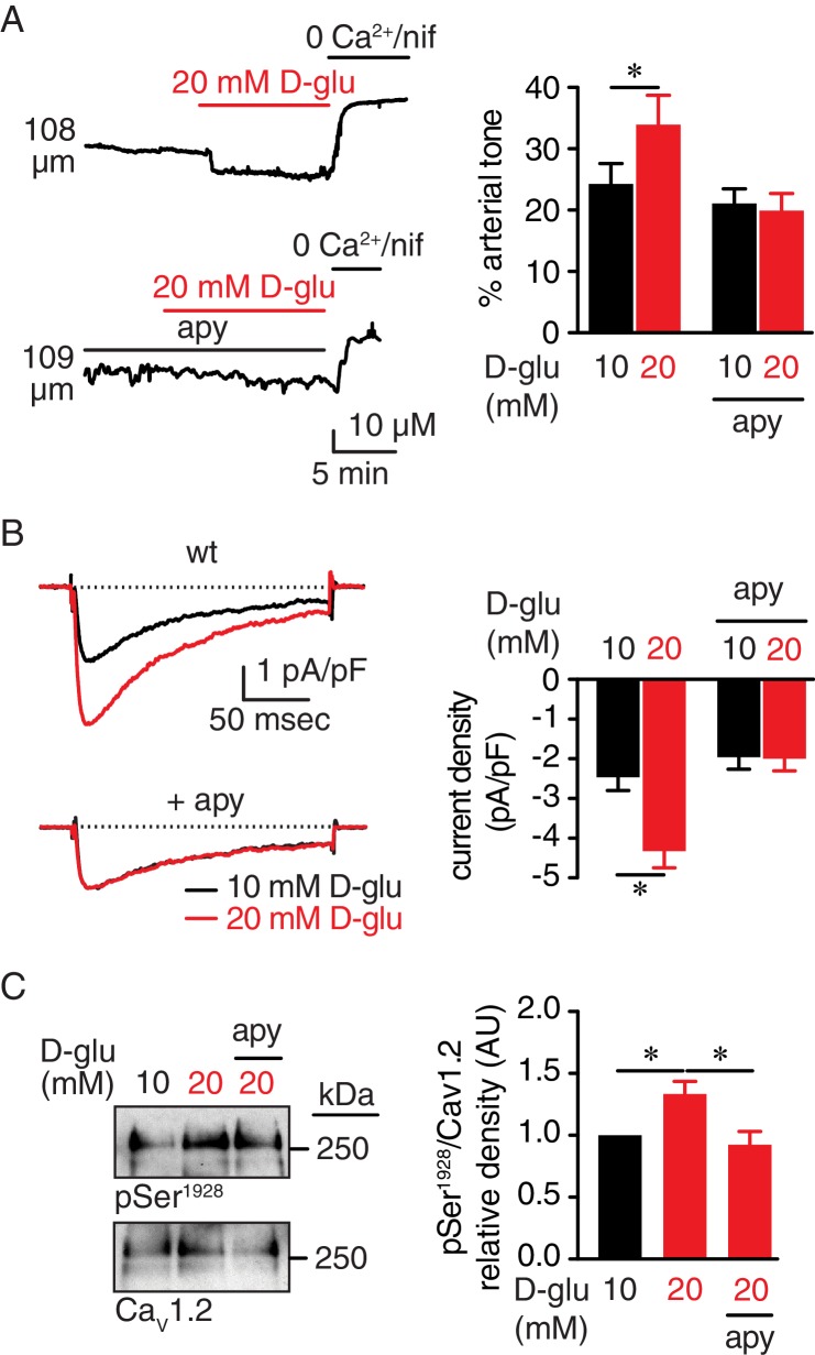 Figure 1.