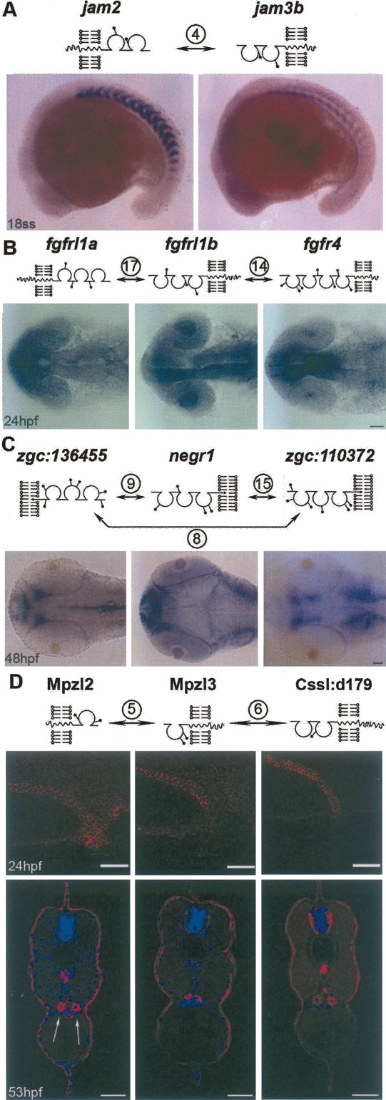 Figure 5.