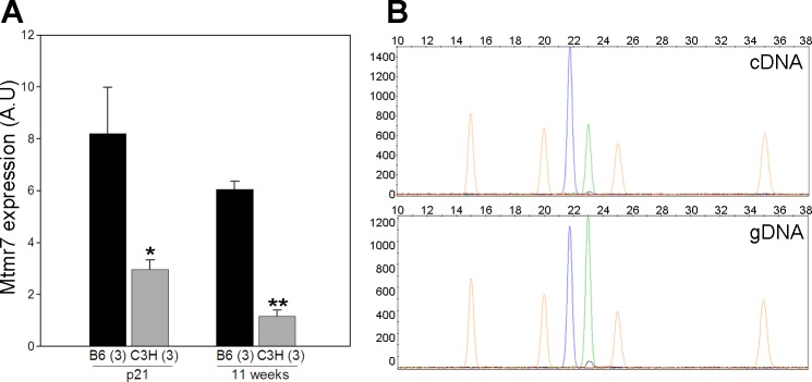 Fig. 11.