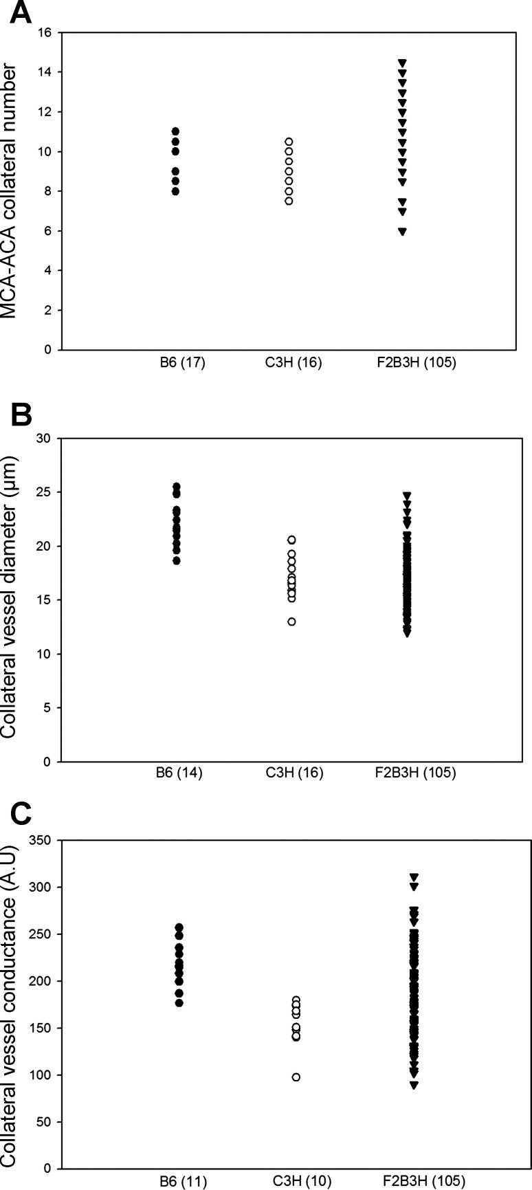 Fig. 9.