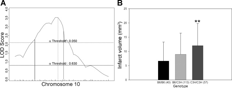 Fig. 8.