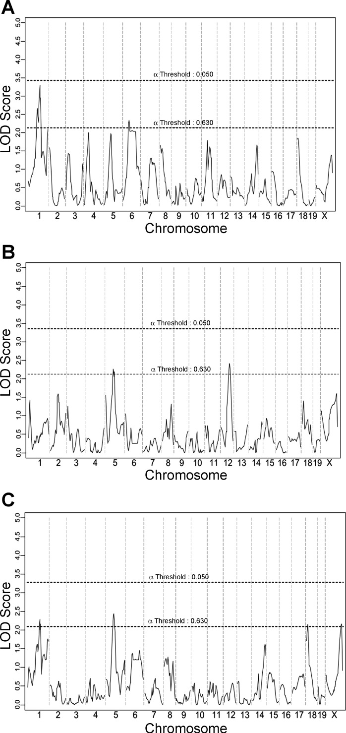 Fig. 10.