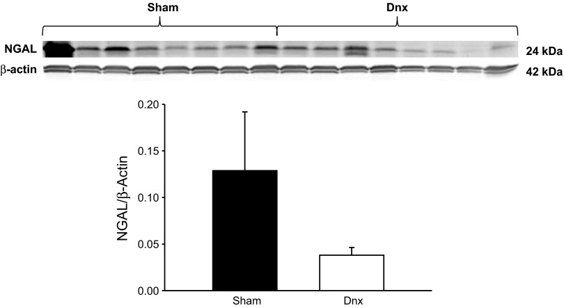 Fig. 5.