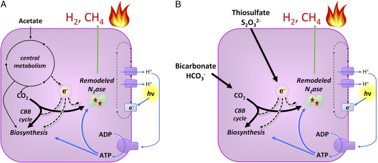 Fig. 3.