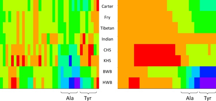 Fig 10