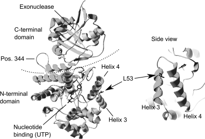 Fig. 8.