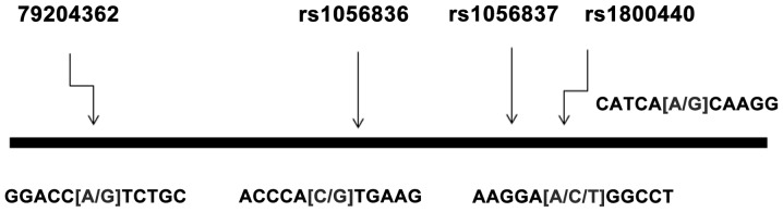 Figure 1.