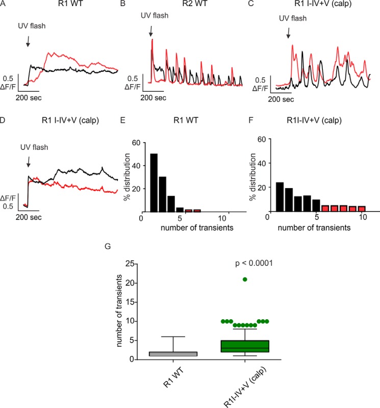 Figure 6.