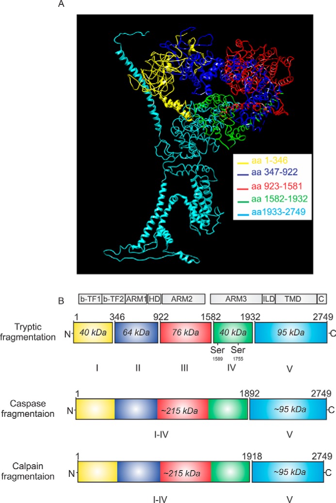 Figure 1.